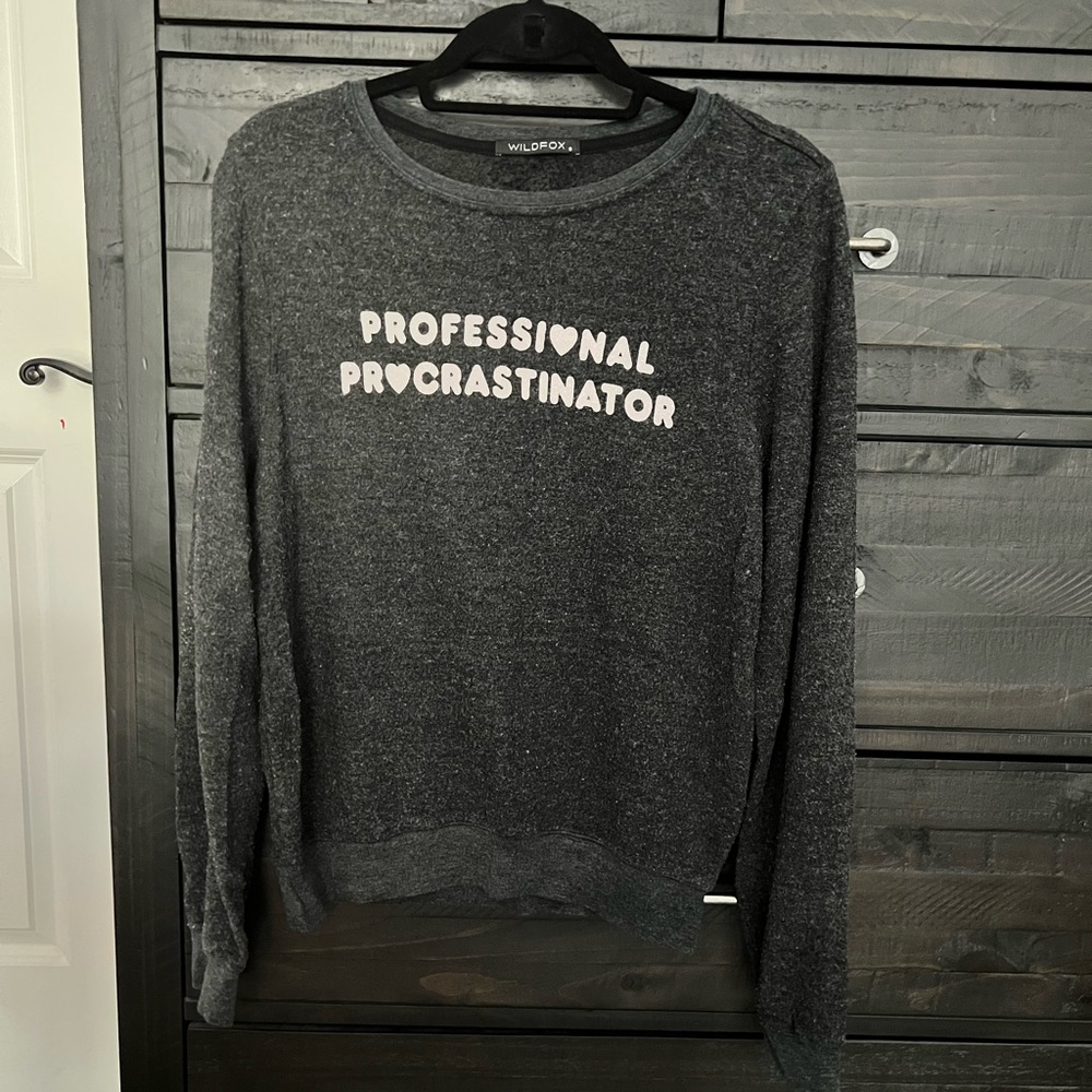 Wildfox Professional Procrastinator
Jumper Sweatshirt Grey Size S